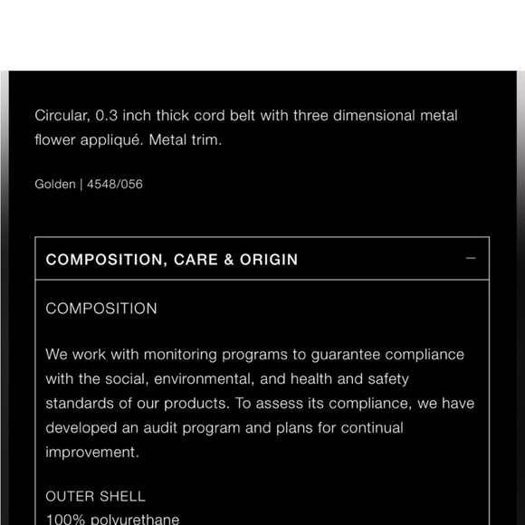 New Zara Metal Belt - Picture 5 of 11